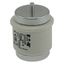 Fuse-link, low voltage, 125 A, AC 500 V, D5, 56 x 46 mm, aR, DIN, IEC, ultra rapid thumbnail 2