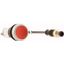 Pushbutton, Flat, momentary, 1 NC, Cable (black) with M12A plug, 4 pole, 1 m, red, Blank, Bezel: titanium thumbnail 13