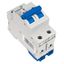 Miniature Circuit Breaker (MCB) AMPARO 10kA, B 32A, 2-pole thumbnail 4