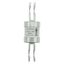 Utility fuse-link, low voltage, 100 A, AC 415 V, BS88/J, 31 x 110 mm, gL/gG, BS thumbnail 11