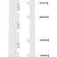 ZX146 Busbar holder, 17 mm x 60 mm x 180 mm thumbnail 1