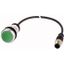 Pushbutton, Flat, momentary, 1 N/O, Cable (black) with M12A plug, 4 pole, 1 m, green, Blank, Bezel: titanium thumbnail 1