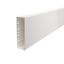 WDK60210RW Wall trunking system with base perforation 60x210x2000 thumbnail 1