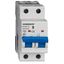 Miniature Circuit Breaker (MCB) AMPARO 10kA, D 32A, 2-pole thumbnail 1