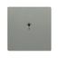 SRB-1-803 Electronic Controls free@home grey metallic - 63x63 thumbnail 3