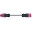 pre-assembled interconnecting cable B2ca Socket/plug pink thumbnail 3