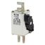 Fuse-link, high speed, 350 A, AC 1250 V, size 1, 53 x 69 x 138 mm, aR, DIN, IEC, single indicator thumbnail 5