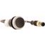 Pushbutton, Flat, momentary, 1 NC, Cable (black) with M12A plug, 4 pole, 1 m, black, Blank, Bezel: titanium thumbnail 4