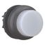 Illuminated pushbutton actuator, RMQ-Titan, Extended, momentary, White, Blank, Bezel: black thumbnail 11