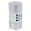 House service fuse-link, low voltage, 100 A, AC 415 V, BS system C type II, 23 x 57 mm, gL/gG, BS thumbnail 9