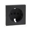 Central plate for SCHUKO socket-outlet insert, shutter, anthracite, System M thumbnail 4