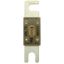 circuit limiter, low voltage, 750 A, DC 80 V, 22.2 x 81 mm, UL thumbnail 1