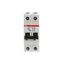S202P-D6 Miniature Circuit Breaker - 2P - D - 6 A thumbnail 10