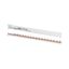 Horizontal busbar, 10mm², 1P+N thumbnail 3