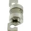Fuse-link, LV, 32 A, AC 690 V, NH000, gL/gG, IEC, dual indicator, live gripping lugs thumbnail 3