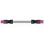 pre-assembled interconnecting cable Eca Socket/plug pink thumbnail 4