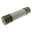 Oil fuse-link, medium voltage, 35.5 A, AC 12 kV, BS2692 F01, 63.5 x 254 mm, back-up, BS, IEC, ESI, with striker thumbnail 10