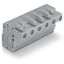 1-conductor female connector, angled CAGE CLAMP® 2.5 mm² gray thumbnail 3