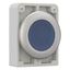 Illuminated pushbutton actuator, RMQ-Titan, Flat, maintained, Blue, Blank, Metal bezel thumbnail 14