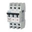 Miniature circuit breaker (MCB), 35 A, 3p, characteristic: B thumbnail 4