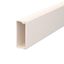 WDK20050RW Wall trunking system with base perforation 20x50x2000 thumbnail 1