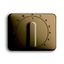1770-21-101 CoverPlates (partly incl. Insert) Timers bronze thumbnail 1