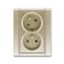 5583F-C02357 03 Double socket outlet with earthing pins, shuttered, with turned upper cavity, with surge protection thumbnail 53