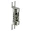 Fuse-link, LV, 16 A, AC 550 V, BS88/A1, 14 x 55 mm, gL/gG, BS thumbnail 10