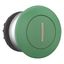 Mushroom actuator, RMQ-Titan, Mushroom, maintained, Mushroom green, green, inscribed, Bezel: titanium thumbnail 7