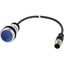 Illuminated pushbutton actuator, Flat, momentary, 1 N/O, Cable (black) with M12A plug, 4 pole, 1 m, LED Blue, Blue, Blank, 24 V AC/DC, Bezel: titanium thumbnail 5