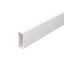 WDK10030RW Wall trunking system with base perforation 10x30x2000 thumbnail 1