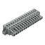 1-conductor female connector CAGE CLAMP® 2.5 mm² gray thumbnail 3
