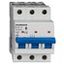 Miniature Circuit Breaker (MCB) AMPARO 10kA, D 32A, 3-pole thumbnail 10