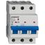 Miniature Circuit Breaker (MCB) AMPARO 10kA, B 2A, 3-pole thumbnail 1