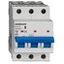 Miniature Circuit Breaker (MCB) AMPARO 10kA, D 4A, 3-pole thumbnail 7