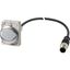 Indicator light, Flat, Cable (black) with M12A plug, 4 pole, 1 m, Lens white, LED white, 24 V AC/DC thumbnail 2