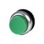 Pushbutton, RMQ-Titan, Extended, maintained, green, Blank, Bezel: titanium thumbnail 6