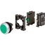 Illuminated pushbutton actuator, RMQ-Titan, flush, momentary, green, Blister pack for hanging thumbnail 4
