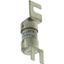 Fuse-link, low voltage, 16 A, AC 240 V, BS88, 15 x 49 mm, gL/gG, BS thumbnail 11