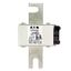 Fuse-link, high speed, 900 A, AC 1000 V, DIN 3, 74 x 92 x 138 mm, aR, DIN, IEC, single indicator thumbnail 2