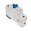Miniature Circuit Breaker (MCB) AMPARO 10kA, D 16A, 1-pole thumbnail 4