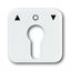 2557 PZ-214-101 CoverPlates (partly incl. Insert) carat® Alpine white thumbnail 1