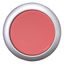 Pushbutton, RMQ-Titan, Flat, maintained, red, Blank, Bezel: titanium thumbnail 4