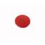 Button plate, flat red, blank thumbnail 1