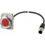 Indicator light, Flat, Cable (black) with M12A plug, 4 pole, 1 m, Lens Red, LED Red, 24 V AC/DC thumbnail 4