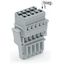 1-conductor female connector CAGE CLAMP® 4 mm² gray thumbnail 4