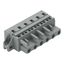 1-conductor female connector CAGE CLAMP® 2.5 mm² gray thumbnail 5