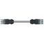 pre-assembled interconnecting cable Eca Socket/plug gray thumbnail 4