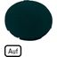 Button plate, flat black, UP thumbnail 6