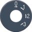 Spare scale disc SKS1101-4 thumbnail 2